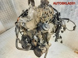 Двигатель BBM Volkswagen Polo 1,2 Бензин (Изображение 7)