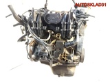 Двигатель AUC Volkswagen Lupo 1.0 Бензин  (Изображение 7)
