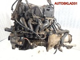 Двигатель A9B Ford KA 1.3 Бензин (Изображение 7)