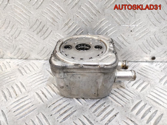 Радиатор масляный Audi A6 C5 1.9 AFN 028117021C