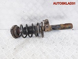 Амортизатор передний Skoda Fabia 6Q0413031BH (Изображение 9)