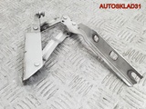 Петля капота левая Volkswagen Golf 5 1K0823301C (Изображение 1)