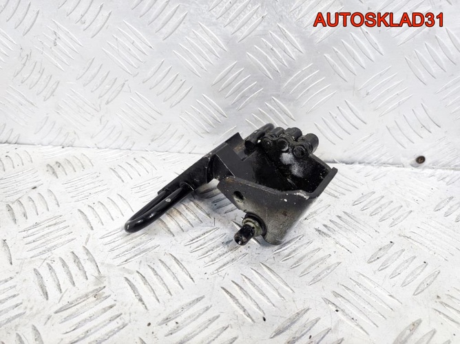 Петля двери задней левой Audi A8 D3 4E0833411C