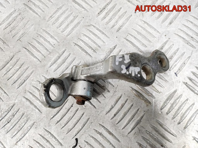 Петля двери задней правой нижняя Ford Focus 2