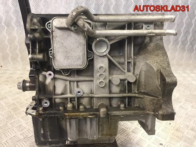 Блок двигателя Volkswagen Golf 5 BLP 03C103019G