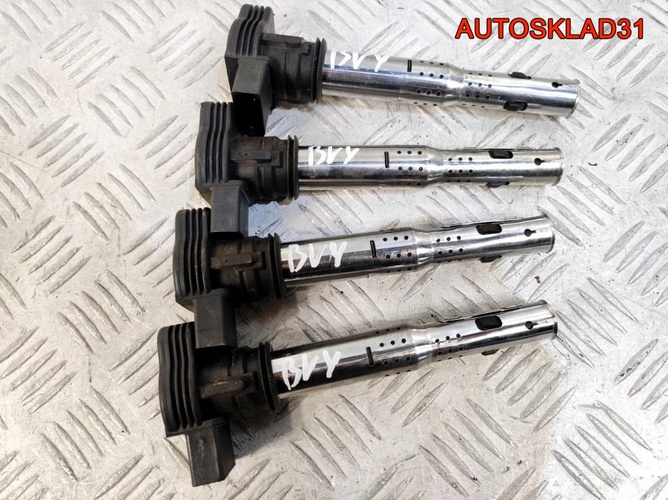 Катушка зажигания VW Passat B6 2,0 BVY 040102033