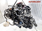 Двигатель BKD Volkswagen Golf 5 2.0 Дизель (Изображение 4)