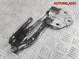 Петля капота левая Volkswagen Touran 1T0823301B (Изображение 1)