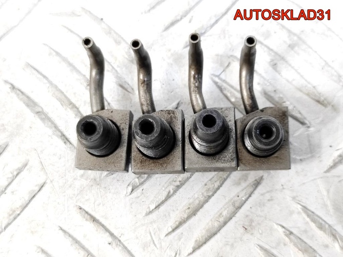 Форсунка масляная VW Passat B6 2.0 BKP 038103157B
