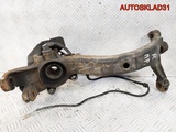 Кулак передний правый VW Passat B5 8D0407258R (Изображение 4)