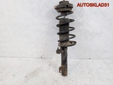 Амортизатор передний Skoda Fabia 6Q0413031BH (Изображение 6)