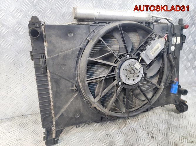 Кассета радиаторов Mercedes Benz W169 1695000303