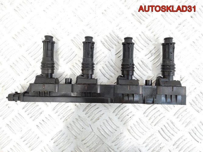 Катушка зажигания Opel Corsa D Z12XEP 0221503472