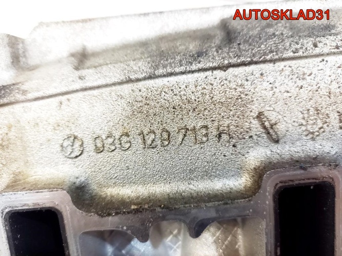 Коллектор впускной Audi A4 B7 2,0 BRD 03G129713H