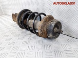 Амортизатор передний Renault Kangoo 8200675690 (Изображение 2)