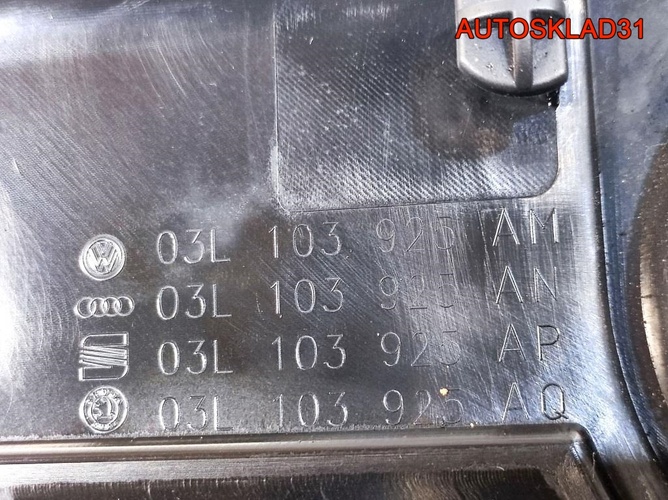 Накладка декоративная VW Passat B6 03L103925AP