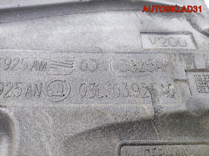 Накладка декоративная VW Passat B6 03L103925AP
