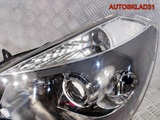 Фара левая Renault Clio 3 20A794052B TYC (Изображение 4)
