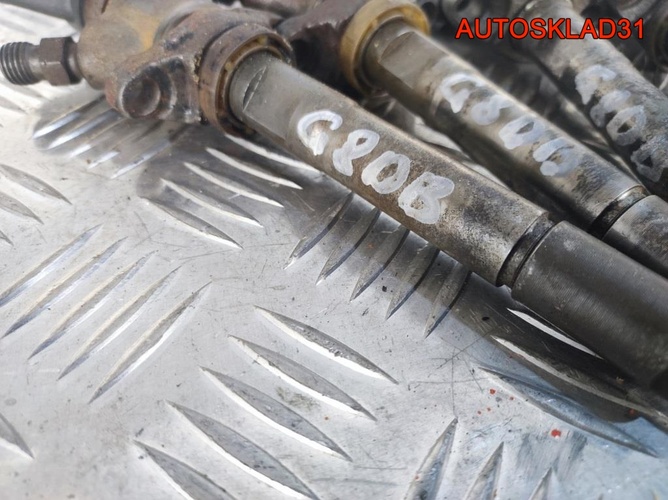 Форсунка дизельная Ford Focus 2 G8DB 0445110259