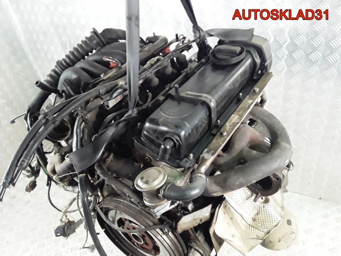 Двигатель ANA Volkswagen Passat B5 1.6 Бензин