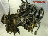 Двигатель для Форд Фиеста 1,3 J4C 1995-2001г (Изображение 3)