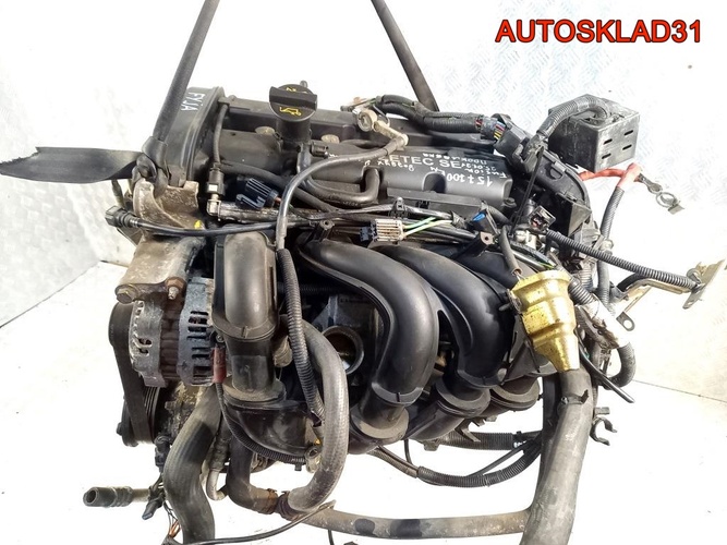 Двигатель FYJA Ford Fusion 1.6 Бензин