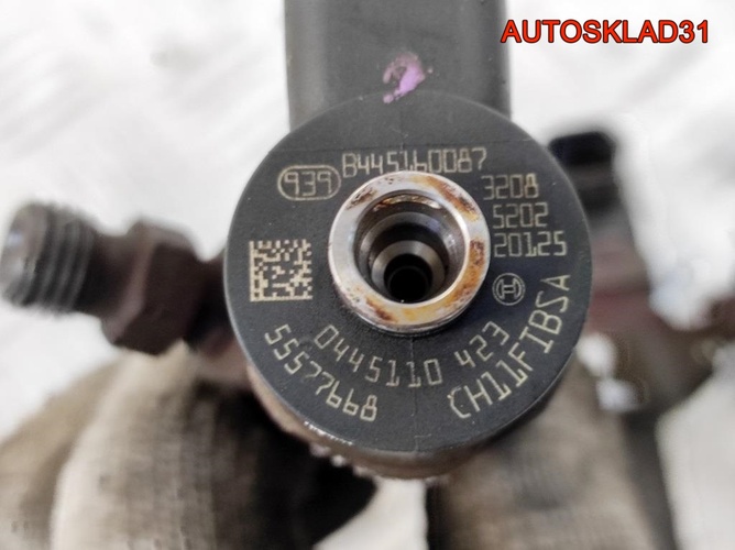 Форсунка дизельная Opel Insignia A20DT 55577668