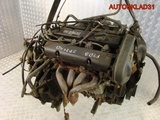 Двигатель Ford Focus 1 1.6 FYDB Zetec SE бензин (Изображение 2)