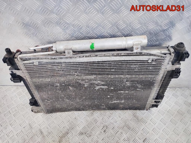Кассета радиаторов Mercedes Benz W169 1695000303
