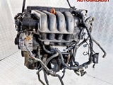 Двигатель AXW Audi A3 8P1 2.0 Бензин (Изображение 5)