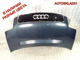 Капот в сборе Audi A2 8Z0823029C (Изображение 2)