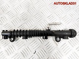 Рейка топливная Opel Corsa C 1,2 Z12XE 0280151076 (Изображение 1)