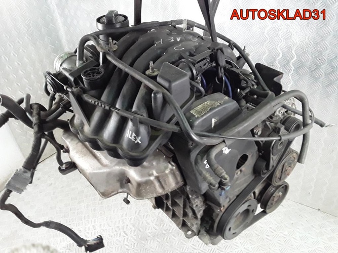 Двигатель AEH Volkswagen Golf 4 1.6 бензин