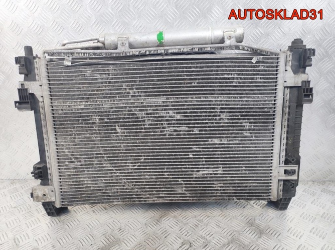 Кассета радиаторов Mercedes Benz W169 1695000303