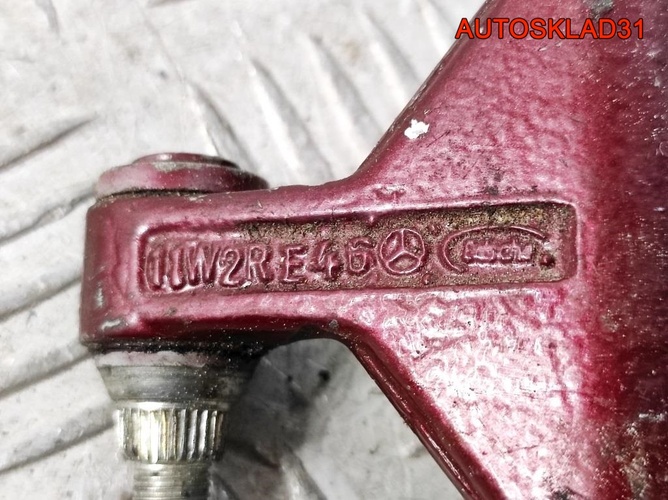 Петля двери задней правой нижняя Mercedes W203
