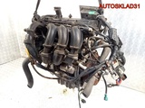 Двигатель FUJA Ford Fiesta 1.25 Бензин (Изображение 2)